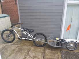 beach cruiser trailer